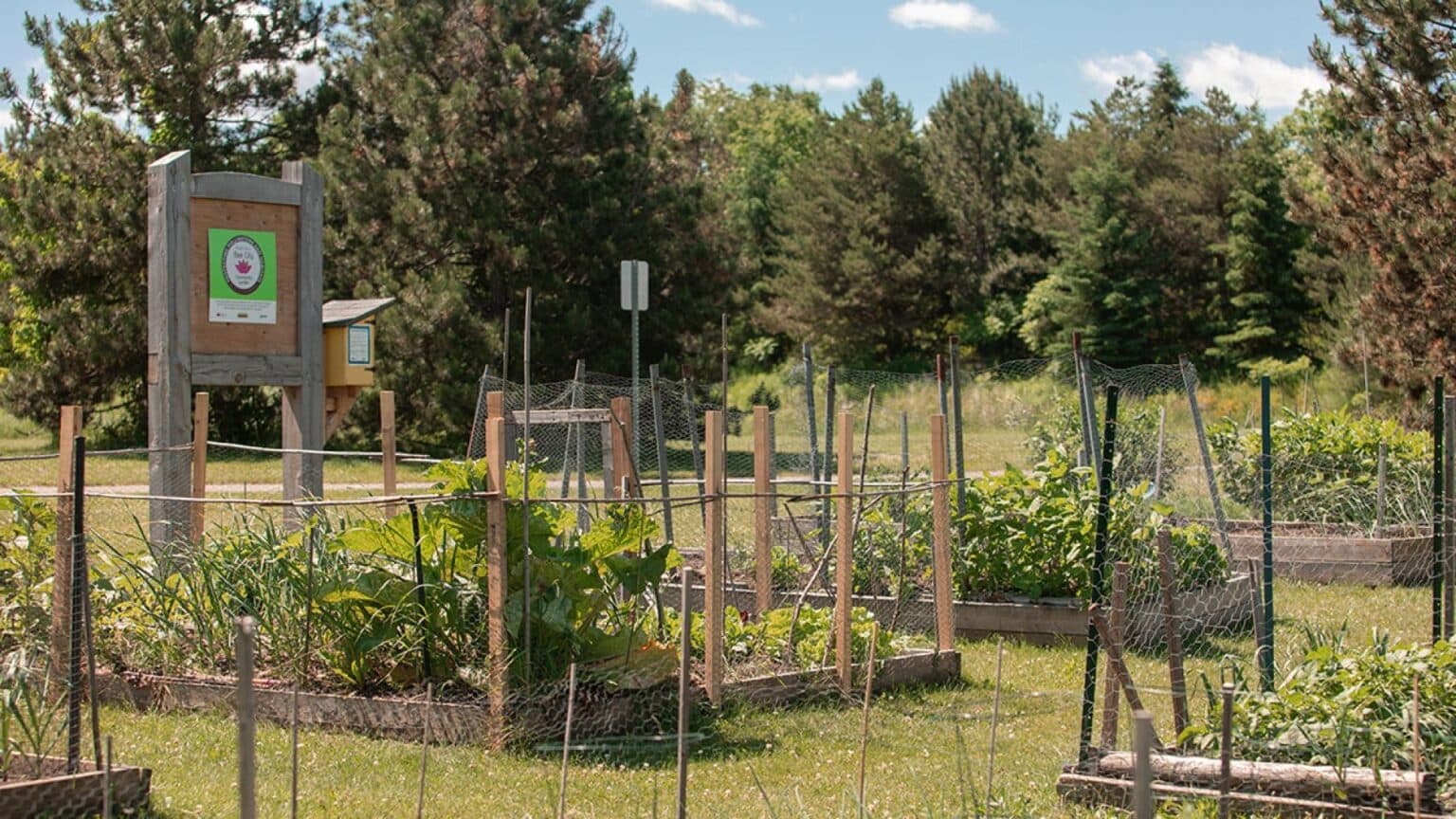 Community Gardens
