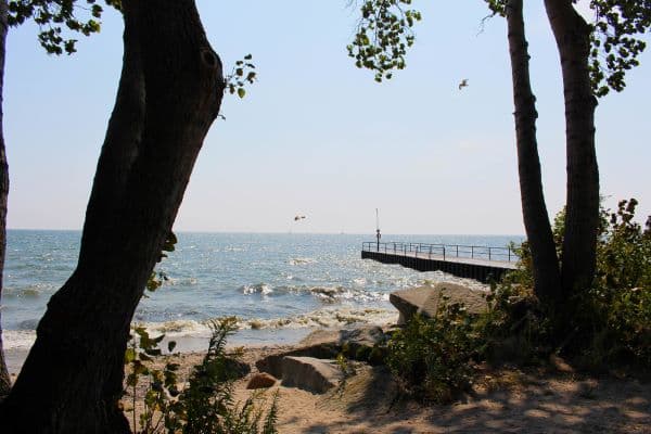 Long Branch Neighborhood