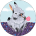 Review Account Image