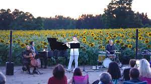 Caledon musicians perform outdoors in a sunflower field Takeoff-Moving Toronto