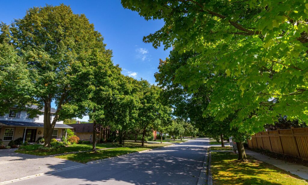 Tree-lined street in an Oakville, ON neighborhood with houses. Takeoff-Moving Toronto
